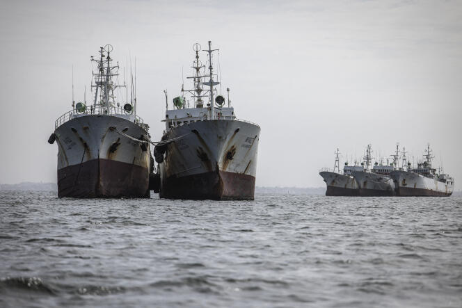 Des chalutiers chinois dans la baie de Hann, à Dakar, en septembre 2023.