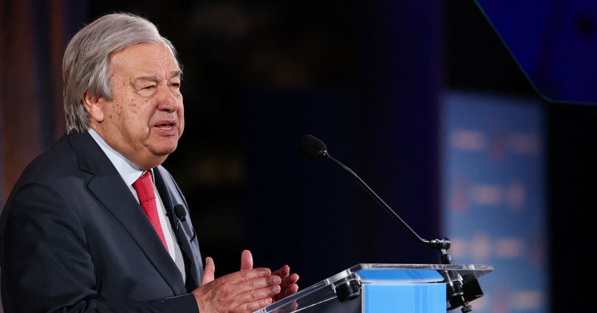 Le secrétaire général de l'ONU, Antonio Guterres, lors d'un discours au Muséum d'histoire naturelle à New York, le mercredi 5 juin 2024.