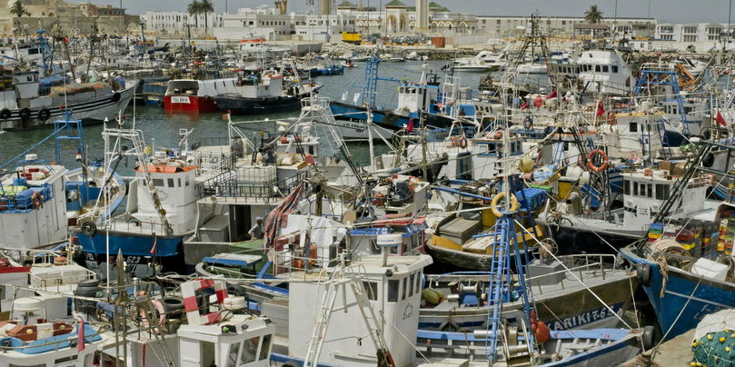 En date du 4 octobre, la Cour de justice de l'Union européenne (CJUE) a estimé que « les accords commerciaux UE-Maroc de 2019 en matière de pêche et de produits agricoles » avaient été établis « sans le consentement du peuple du Sahara occidental ».