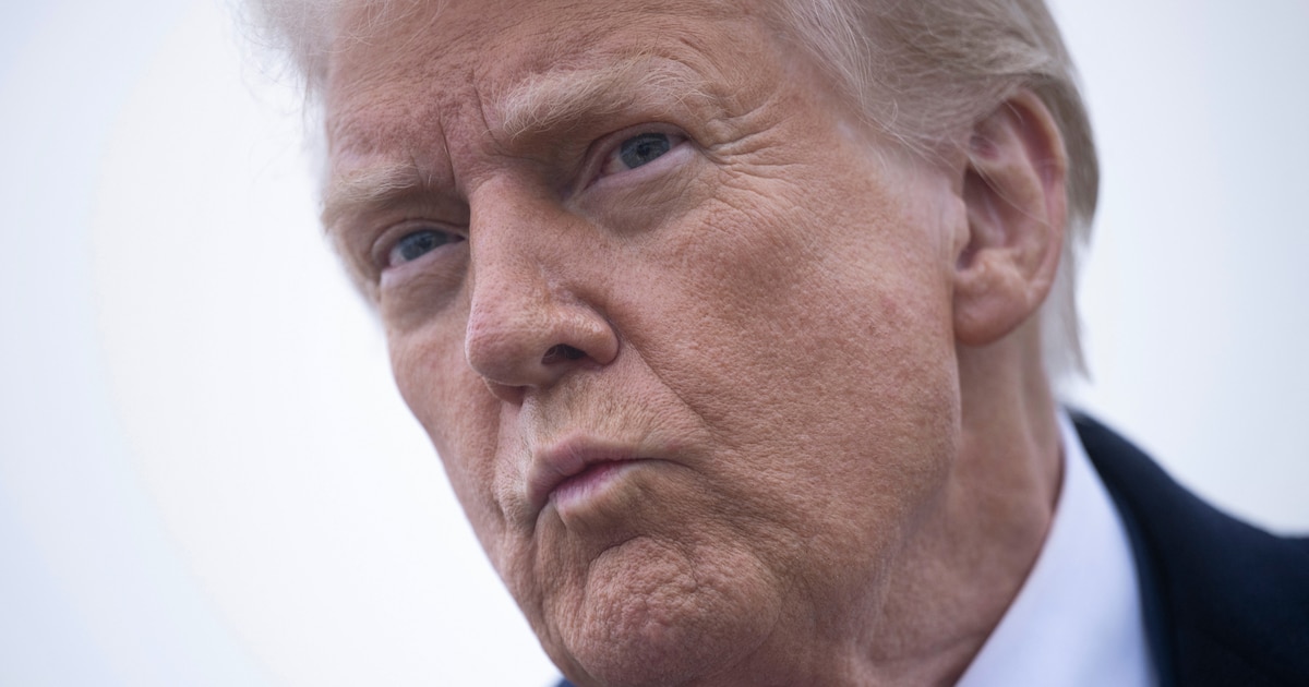 Donald Trump avant de monter dans Air Force One, le 14 mars 2025.
