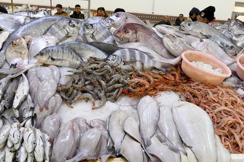 Étude : le paradoxe de la pêche au Maroc, exportation au détriment du marché local
