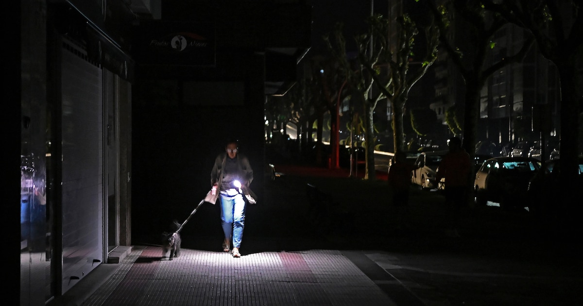 Un passante promène son chien en s'éclairant avec son téléphone, le 28 avril 2025 à Vigo, dans le nord-ouest de l'Espagne, pendant une panne d'électricité géante